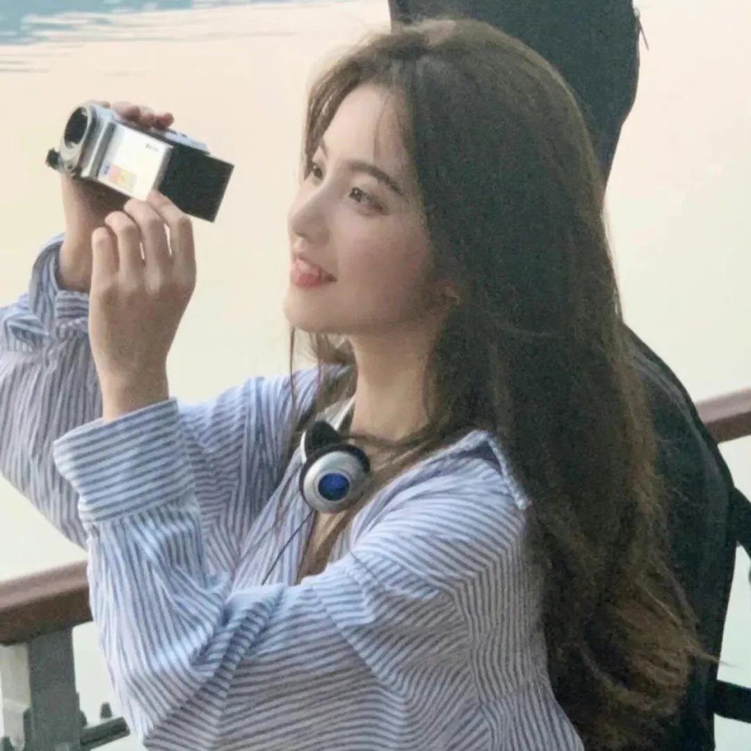 刑事侦缉档案4国语