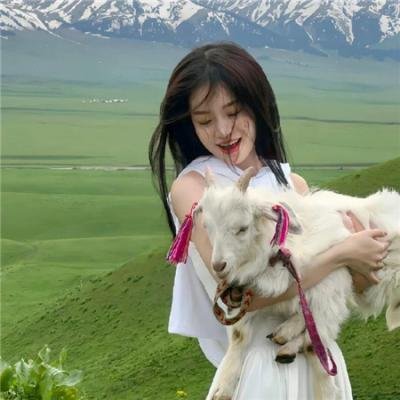 我的失忆小奶狗